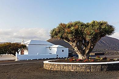 《女神异闻录5：战略版》Switch版预购开启 港服448港币